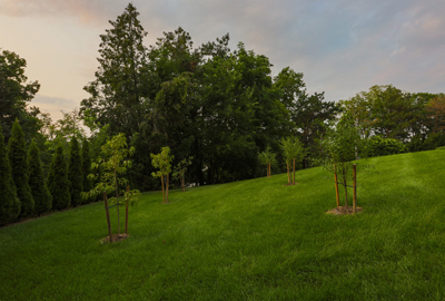 Refined image lawn and landscape, softscapes, snow & ice, lawn cutting & maintenance, residential & commercial lawn care, dunnville, ON